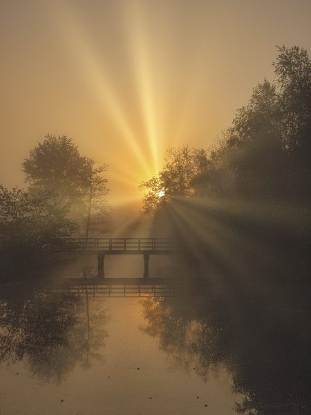 Landschap 11
