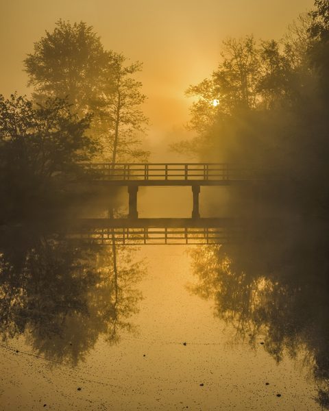 Landschap 12