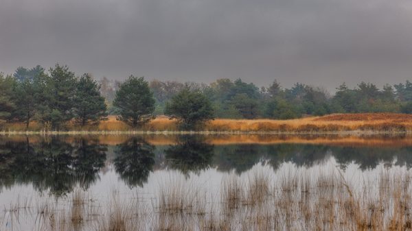 Landschap 17