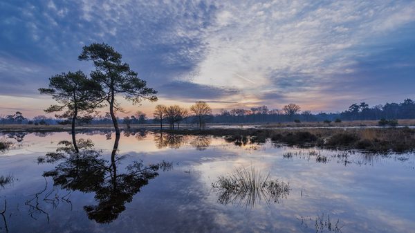 Landschap 20
