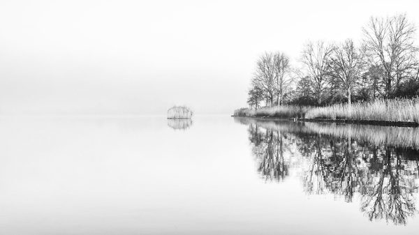 Landschap 22