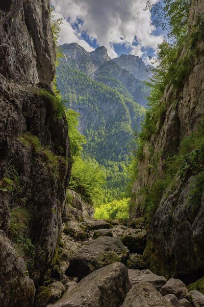 Landschap 23