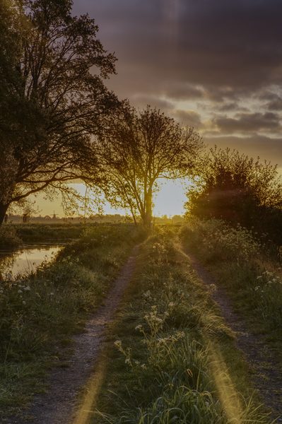 Landschap 38