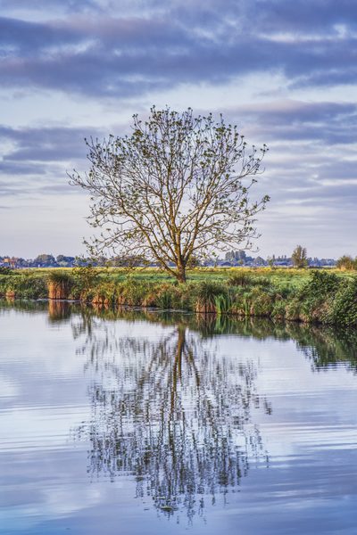 Landschap 39