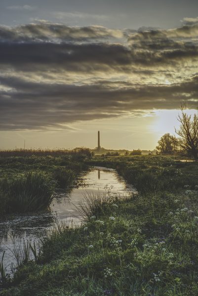 Landschap 40