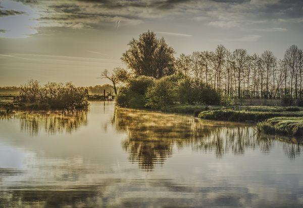 Landschap 41