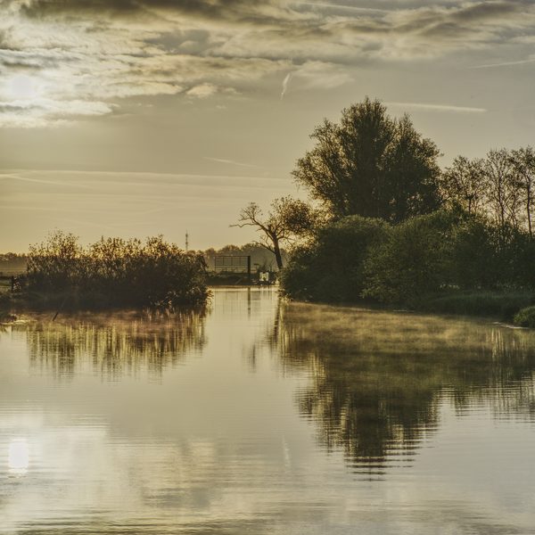 Landschap 42