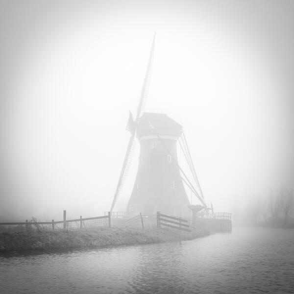 Natuur zwart-wit